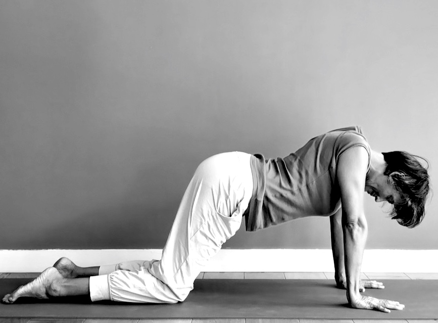 Static Extension an alignemtn exercise for the sholders and neck